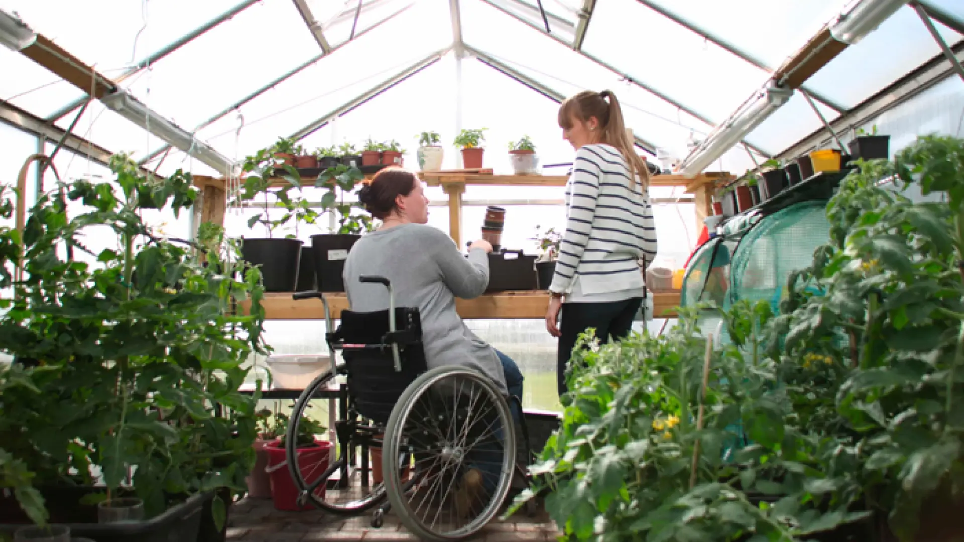 Kvinne i rullestol i drivhus med mange planter sammen med kvinnelig assistent.